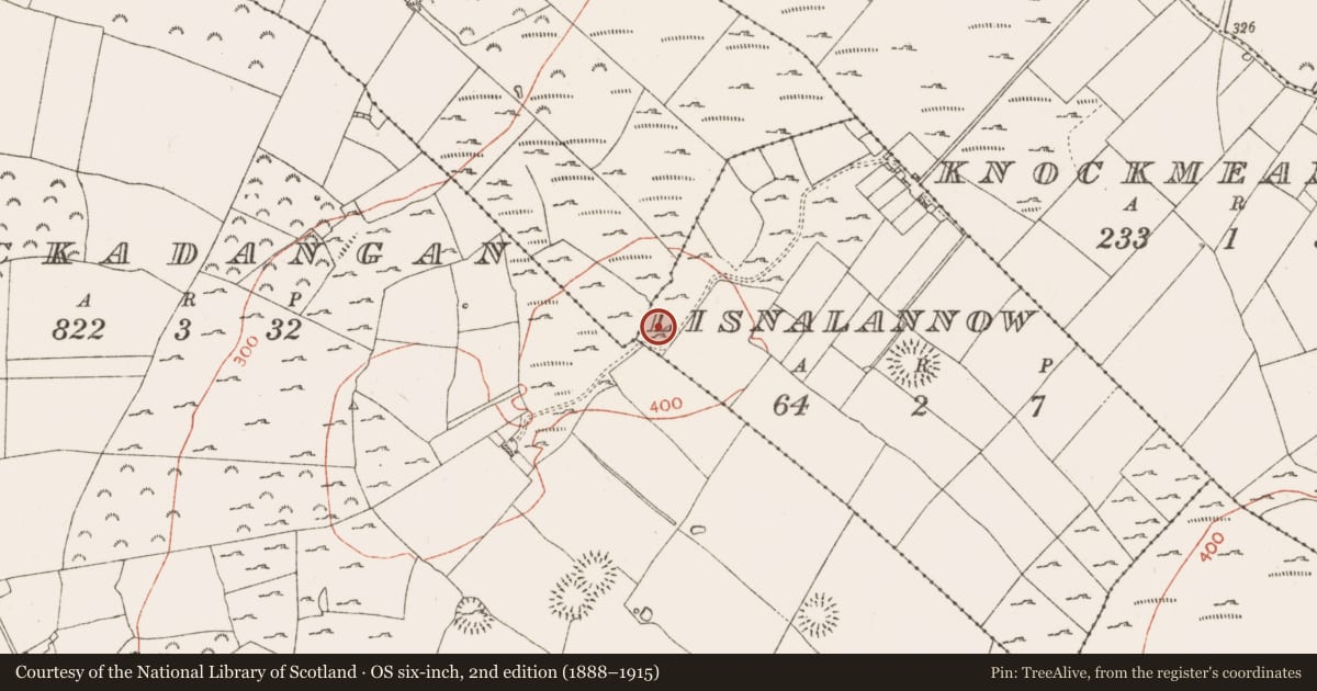 Ordnance Survey six-inch map, 2nd edition (1888–1915) covering the location of Ringfort - cashel, Lisnalannow, County Roscommon, with a pin at the register's coordinates