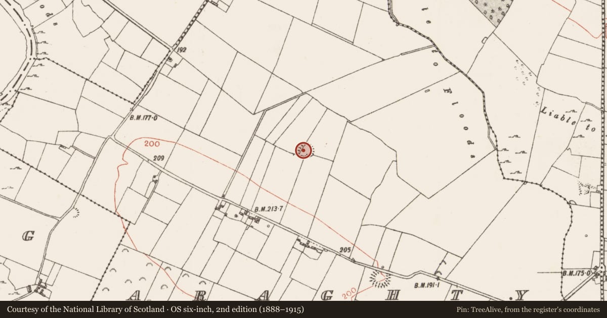 Ordnance Survey six-inch map, 2nd edition (1888–1915) covering the location of Ringfort - rath, Araghty, County Roscommon, with a pin at the register's coordinates