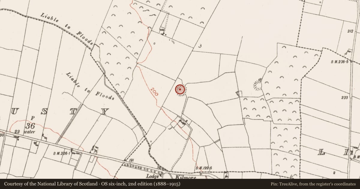 Ordnance Survey six-inch map, 2nd edition (1888–1915) covering the location of Ringfort - rath, Carrowreagh, County Roscommon, with a pin at the register's coordinates