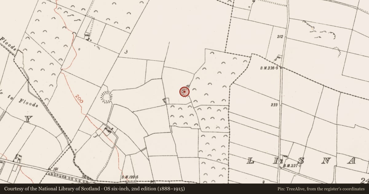 Ordnance Survey six-inch map, 2nd edition (1888–1915) covering the location of Ringfort - rath, Carrowreagh, County Roscommon, with a pin at the register's coordinates