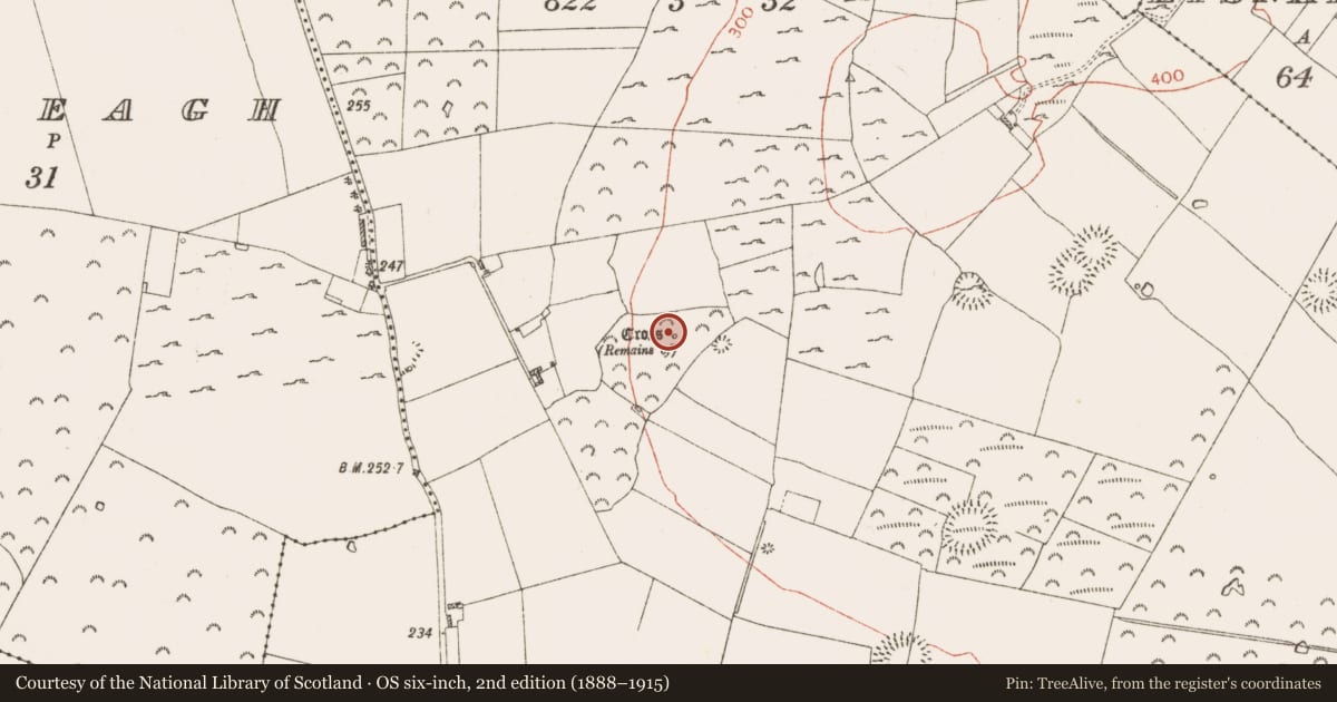Ordnance Survey six-inch map, 2nd edition (1888–1915) covering the location of Cross - Wayside cross, Knockadangan, County Roscommon, with a pin at the register's coordinates