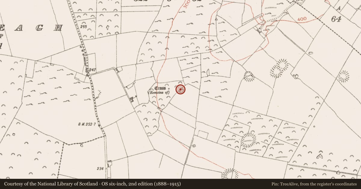 Ordnance Survey six-inch map, 2nd edition (1888–1915) covering the location of Quarry, Knockadangan, County Roscommon, with a pin at the register's coordinates