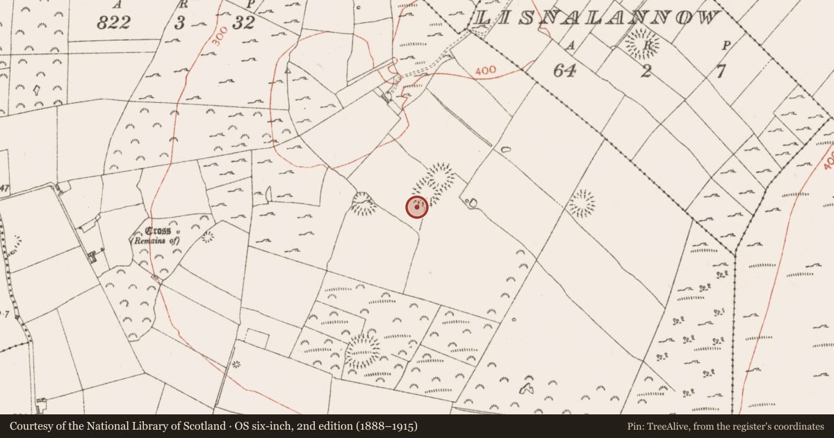 Ordnance Survey six-inch map, 2nd edition (1888–1915) covering the location of Ringfort - rath, Knockadangan, County Roscommon, with a pin at the register's coordinates