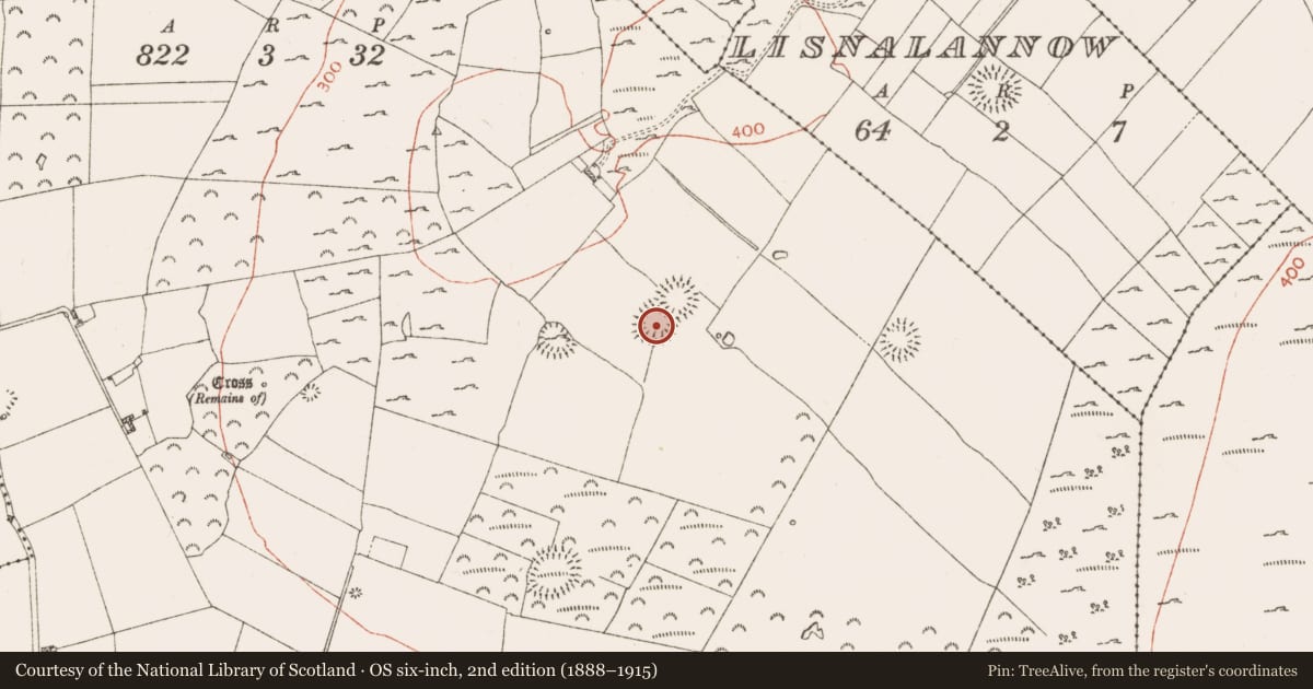 Ordnance Survey six-inch map, 2nd edition (1888–1915) covering the location of House - indeterminate date, Knockadangan, County Roscommon, with a pin at the register's coordinates