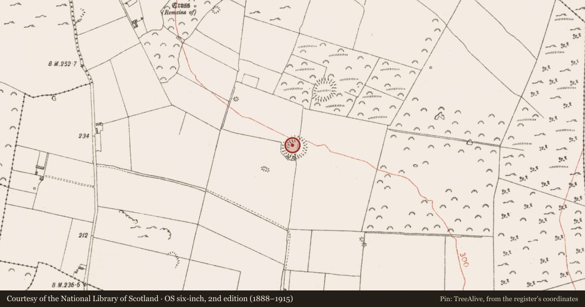 Ordnance Survey six-inch map, 2nd edition (1888–1915) covering the location of Ringfort - rath, Knockadangan, County Roscommon, with a pin at the register's coordinates