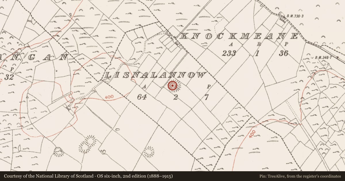 Ordnance Survey six-inch map, 2nd edition (1888–1915) covering the location of Ringfort - rath, Lisnalannow, County Roscommon, with a pin at the register's coordinates
