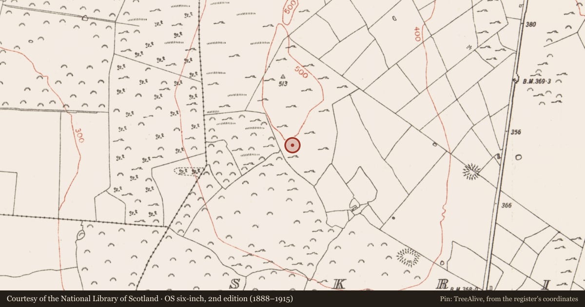 Ordnance Survey six-inch map, 2nd edition (1888–1915) covering the location of Cairn - burial cairn, Skrine, County Roscommon, with a pin at the register's coordinates