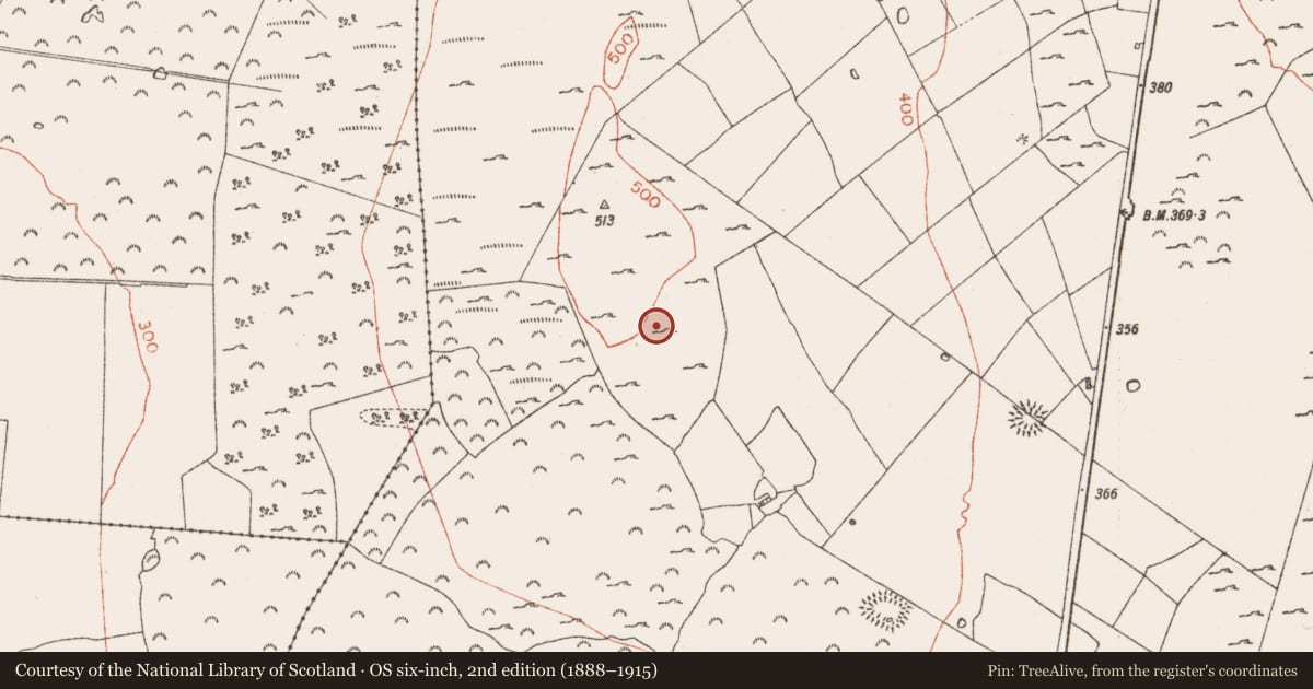Ordnance Survey six-inch map, 2nd edition (1888–1915) covering the location of Cist, Skrine, County Roscommon, with a pin at the register's coordinates