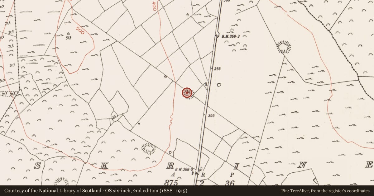 Ordnance Survey six-inch map, 2nd edition (1888–1915) covering the location of Ringfort - rath, Skrine, County Roscommon, with a pin at the register's coordinates
