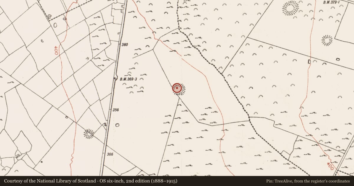 Ordnance Survey six-inch map, 2nd edition (1888–1915) covering the location of Ringfort - rath, Skrine, County Roscommon, with a pin at the register's coordinates
