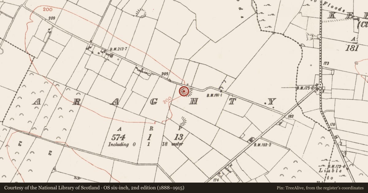 Ordnance Survey six-inch map, 2nd edition (1888–1915) covering the location of Ringfort - rath, Araghty, County Roscommon, with a pin at the register's coordinates