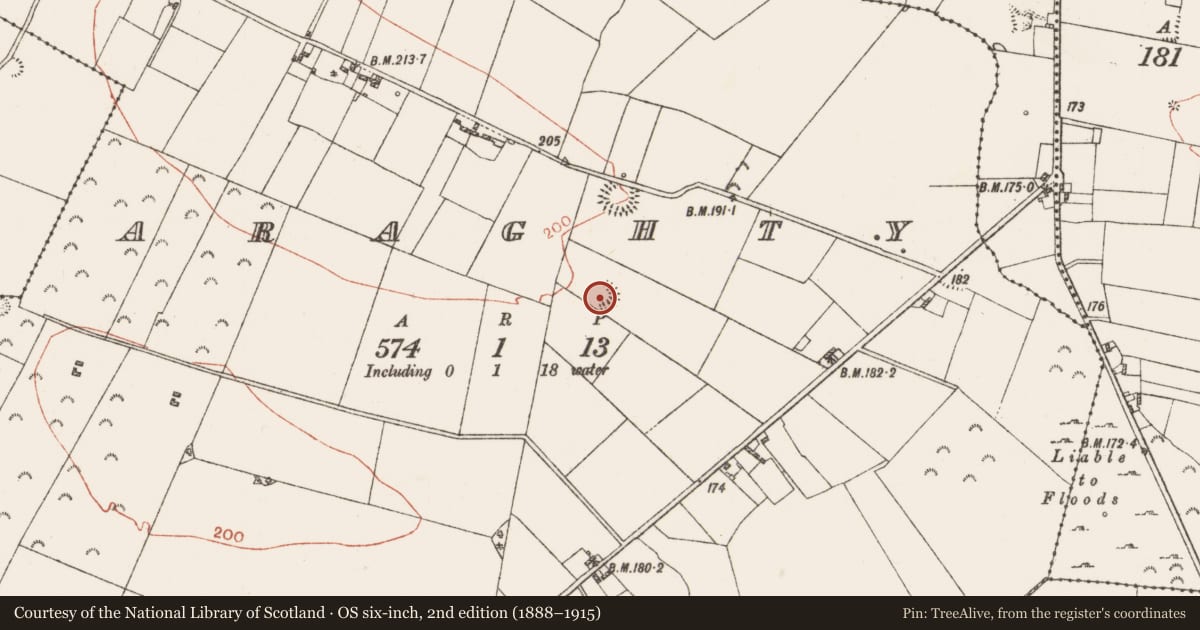 Ordnance Survey six-inch map, 2nd edition (1888–1915) covering the location of Ringfort - rath, Araghty, County Roscommon, with a pin at the register's coordinates