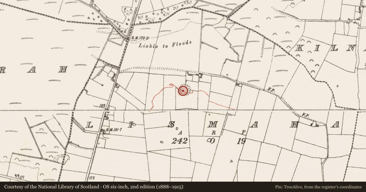 Ordnance Survey six-inch map, 2nd edition (1888–1915) covering the location of Ringfort - rath, Lismaha, County Roscommon, with a pin at the register's coordinates