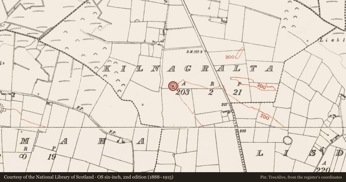 Ordnance Survey six-inch map, 2nd edition (1888–1915) covering the location of Ringfort - rath, Kilnagralta, County Roscommon, with a pin at the register's coordinates