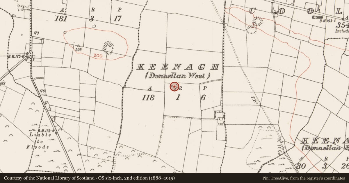 Ordnance Survey six-inch map, 2nd edition (1888–1915) covering the location of Ringfort - rath, Keenagh (Donnellan West), County Roscommon, with a pin at the register's coordinates