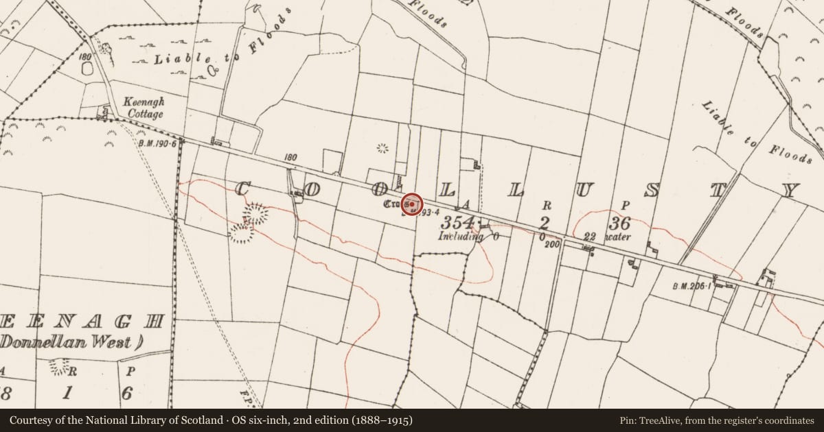 Ordnance Survey six-inch map, 2nd edition (1888–1915) covering the location of Inscribed stone, Coollusty, County Roscommon, with a pin at the register's coordinates