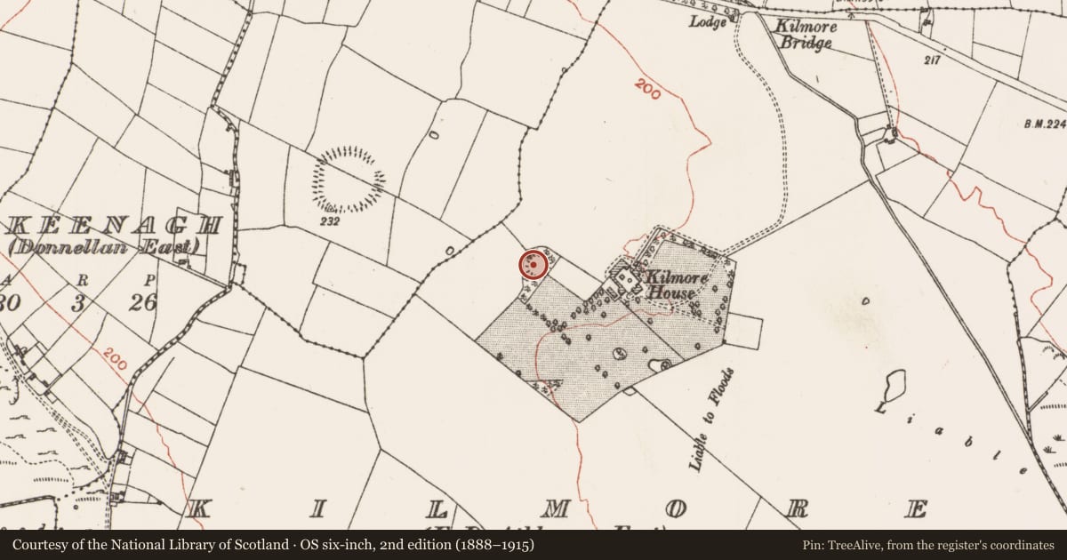 Ordnance Survey six-inch map, 2nd edition (1888–1915) covering the location of Ringfort - rath, Kilmore, County Roscommon, with a pin at the register's coordinates