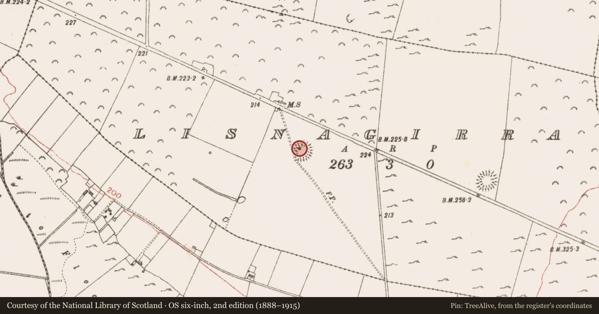Ordnance Survey six-inch map, 2nd edition (1888–1915) covering the location of Ringfort - rath, Lisnagirra, County Roscommon, with a pin at the register's coordinates