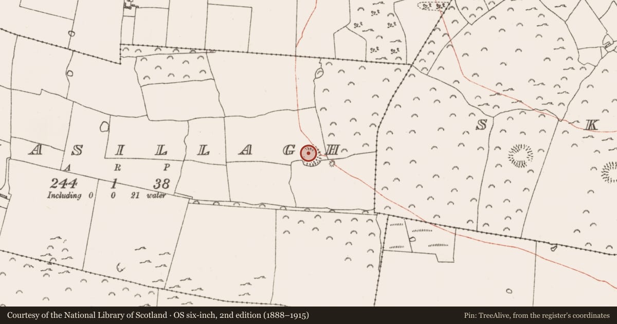 Ordnance Survey six-inch map, 2nd edition (1888–1915) covering the location of Ringfort - rath, Lisnasillagh, County Roscommon, with a pin at the register's coordinates