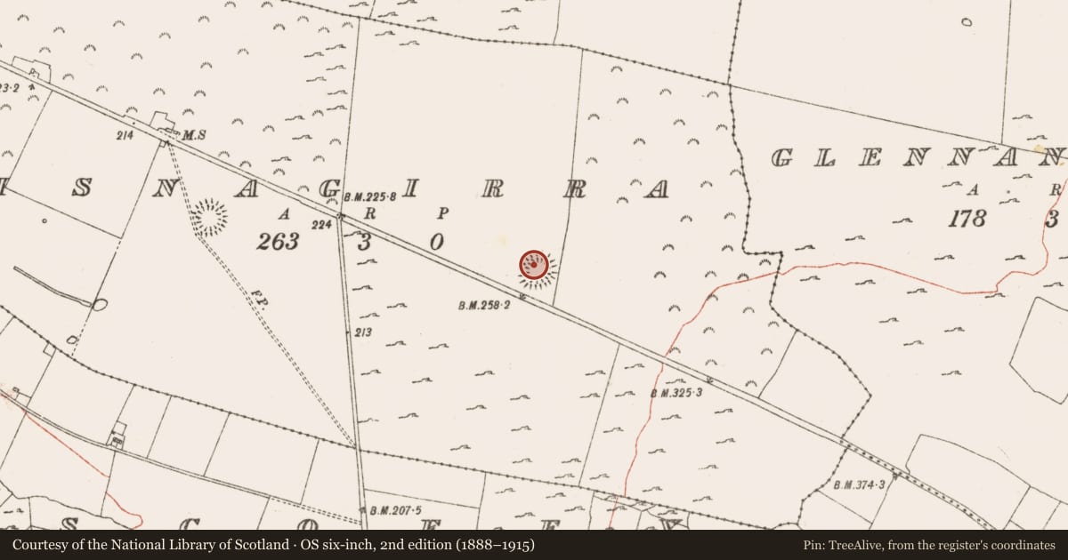 Ordnance Survey six-inch map, 2nd edition (1888–1915) covering the location of Ringfort - rath, Lisnagirra, County Roscommon, with a pin at the register's coordinates