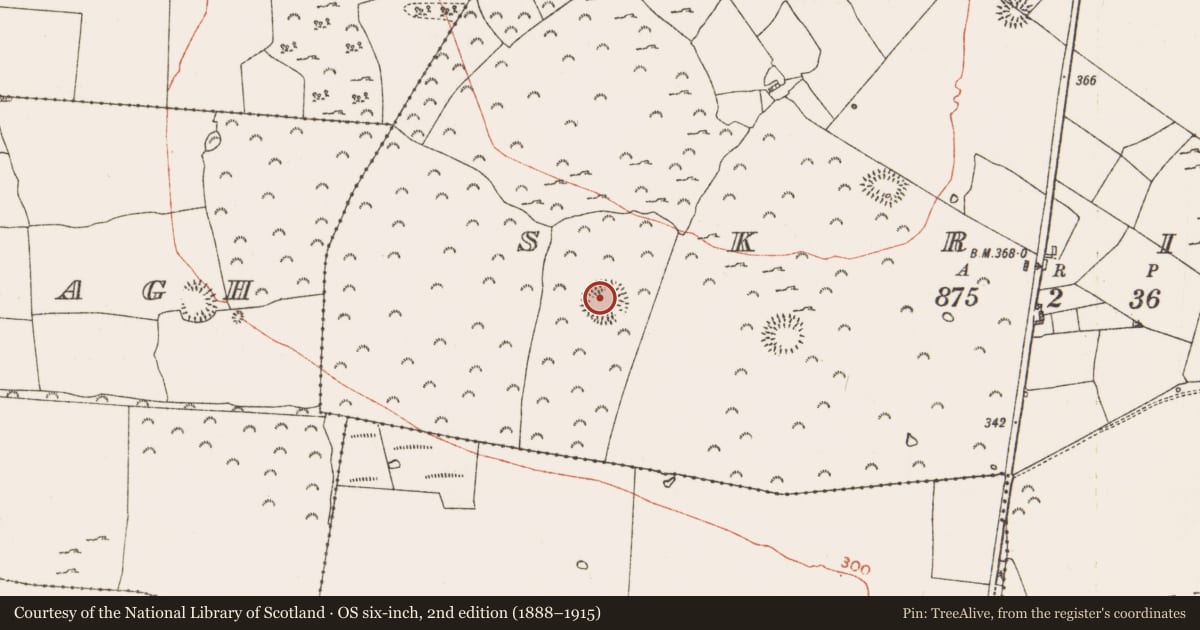 Ordnance Survey six-inch map, 2nd edition (1888–1915) covering the location of Ringfort - rath, Skrine, County Roscommon, with a pin at the register's coordinates