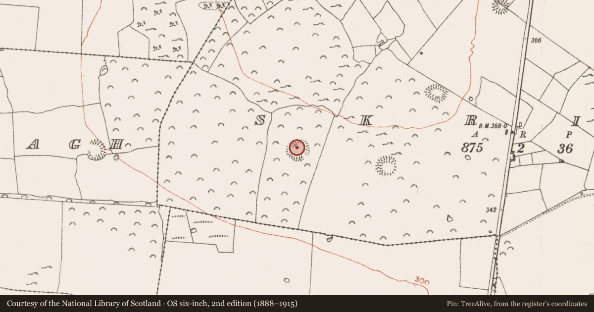 Ordnance Survey six-inch map, 2nd edition (1888–1915) covering the location of House - indeterminate date, Skrine, County Roscommon, with a pin at the register's coordinates