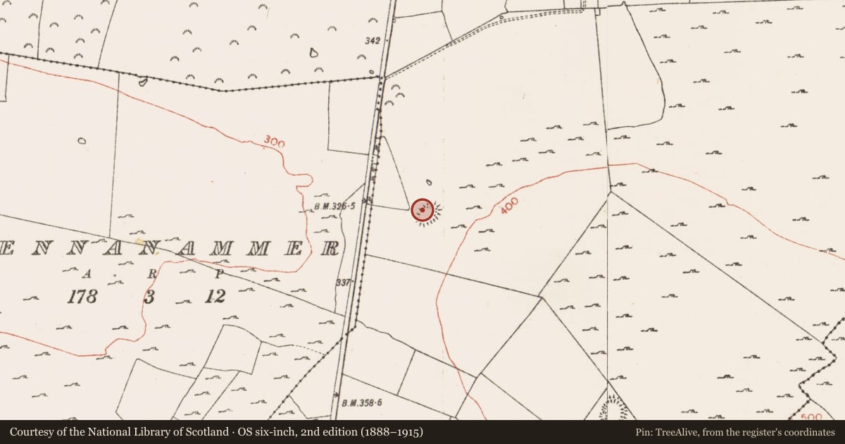 Ordnance Survey six-inch map, 2nd edition (1888–1915) covering the location of Ringfort - rath, Skrine, County Roscommon, with a pin at the register's coordinates
