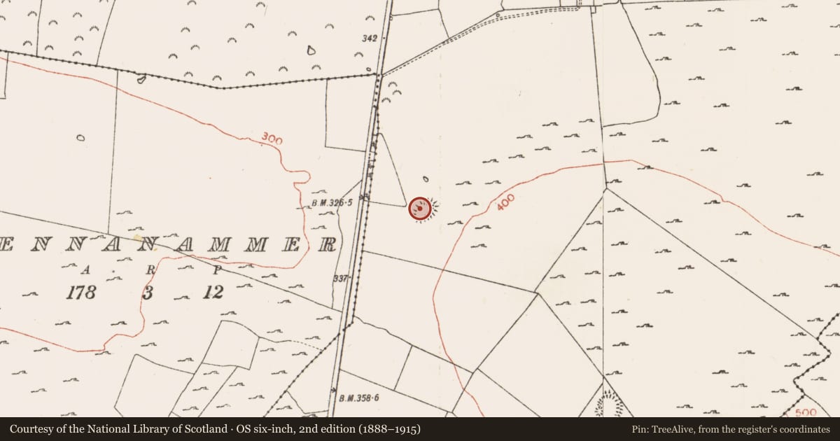 Ordnance Survey six-inch map, 2nd edition (1888–1915) covering the location of Children's burial ground, Skrine, County Roscommon, with a pin at the register's coordinates