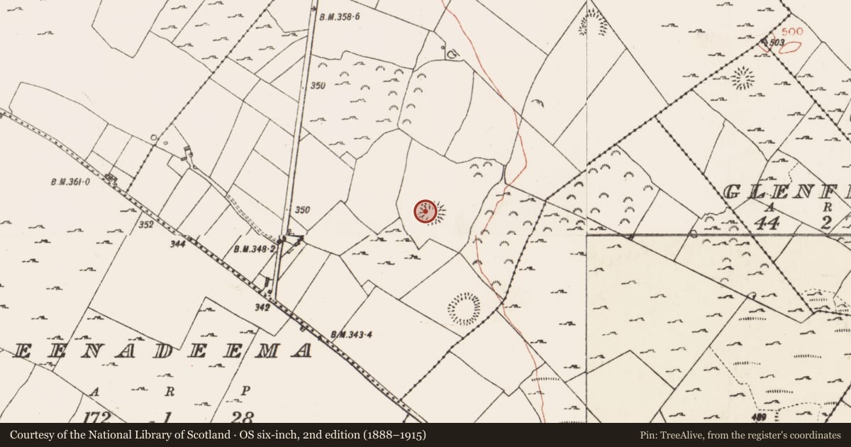 Ordnance Survey six-inch map, 2nd edition (1888–1915) covering the location of Ringfort - cashel, Skrine, County Roscommon, with a pin at the register's coordinates
