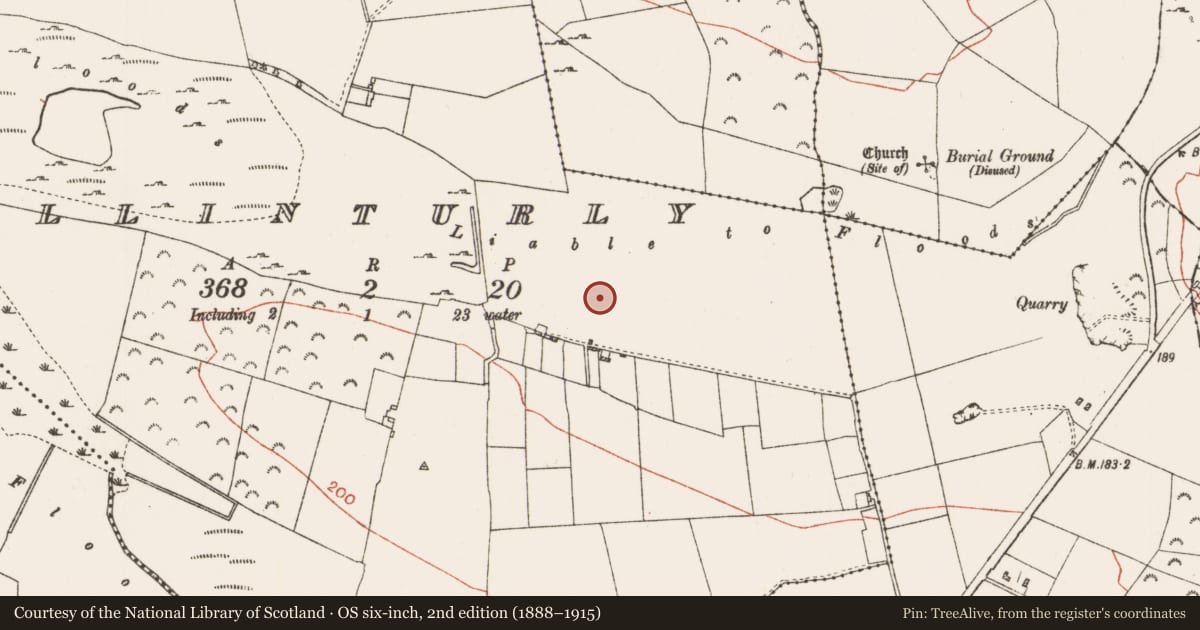Ordnance Survey six-inch map, 2nd edition (1888–1915) covering the location of Castle - unclassified, Ballinturly, County Roscommon, with a pin at the register's coordinates