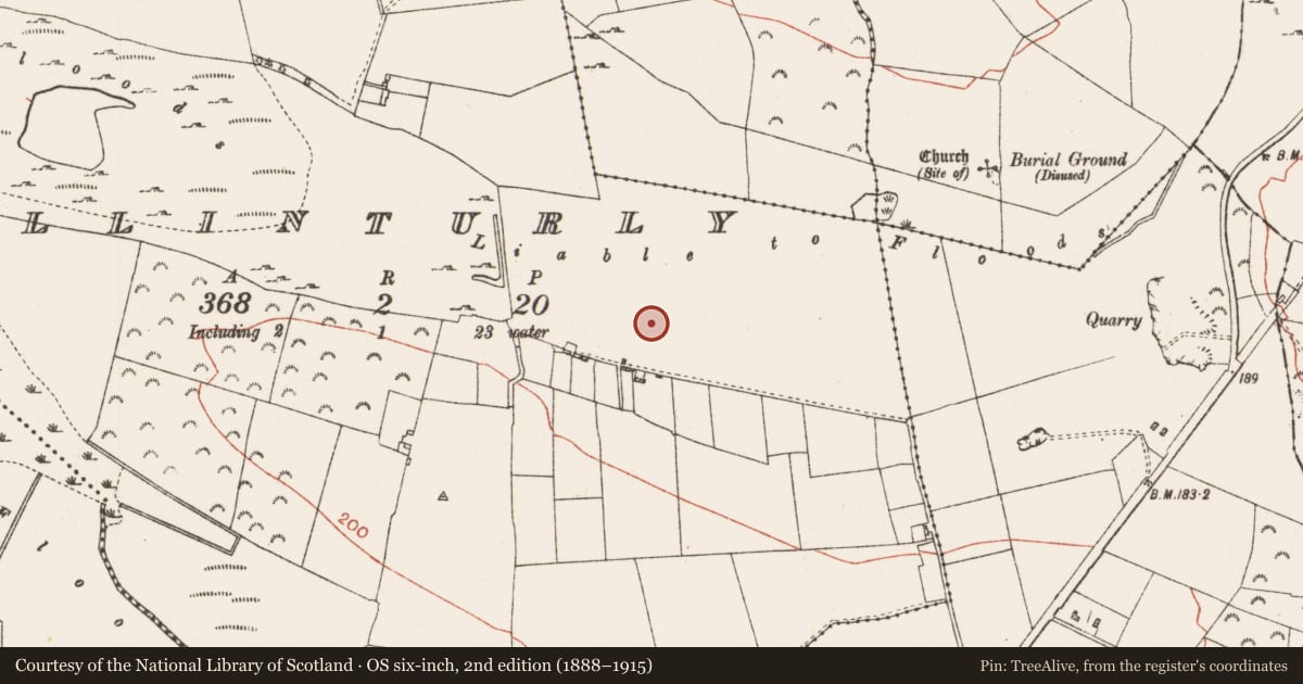 Ordnance Survey six-inch map, 2nd edition (1888–1915) covering the location of Enclosure, Ballinturly, County Roscommon, with a pin at the register's coordinates