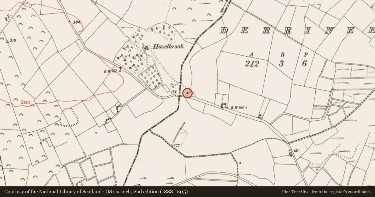 Ordnance Survey six-inch map, 2nd edition (1888–1915) covering the location of Castle - unclassified, Derrineel, County Roscommon, with a pin at the register's coordinates