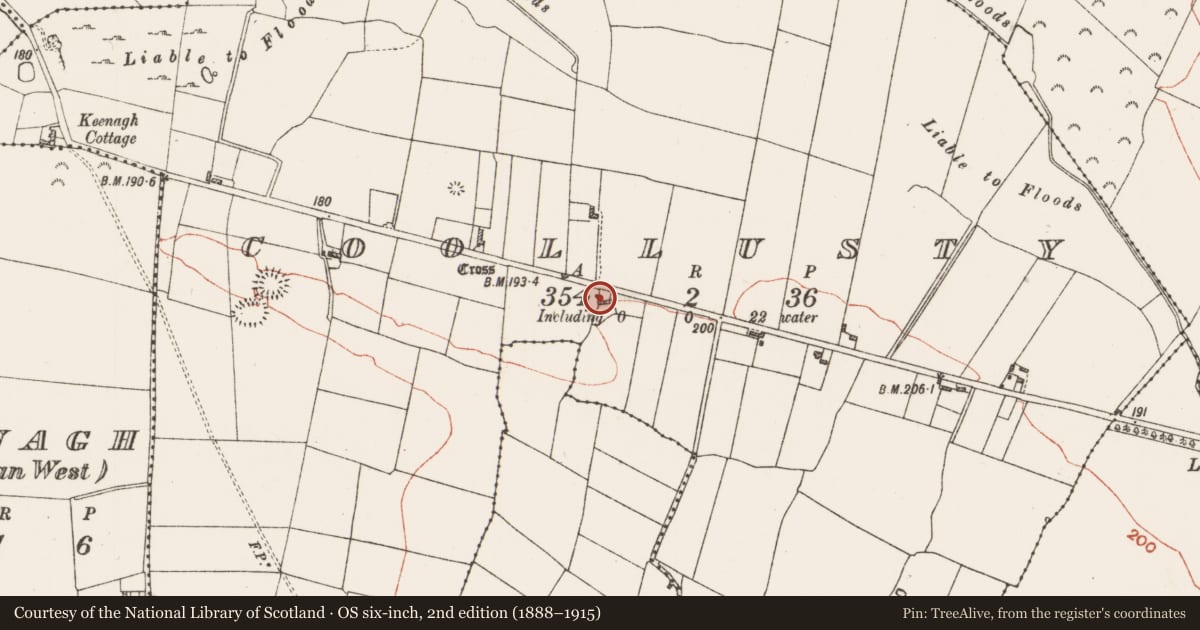 Ordnance Survey six-inch map, 2nd edition (1888–1915) covering the location of Inscribed stone (present location), Coollusty, County Roscommon, with a pin at the register's coordinates