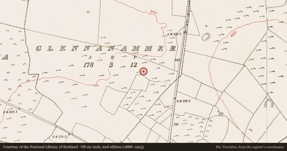 Ordnance Survey six-inch map, 2nd edition (1888–1915) covering the location of Megalithic structure, Glennanammer, County Roscommon, with a pin at the register's coordinates