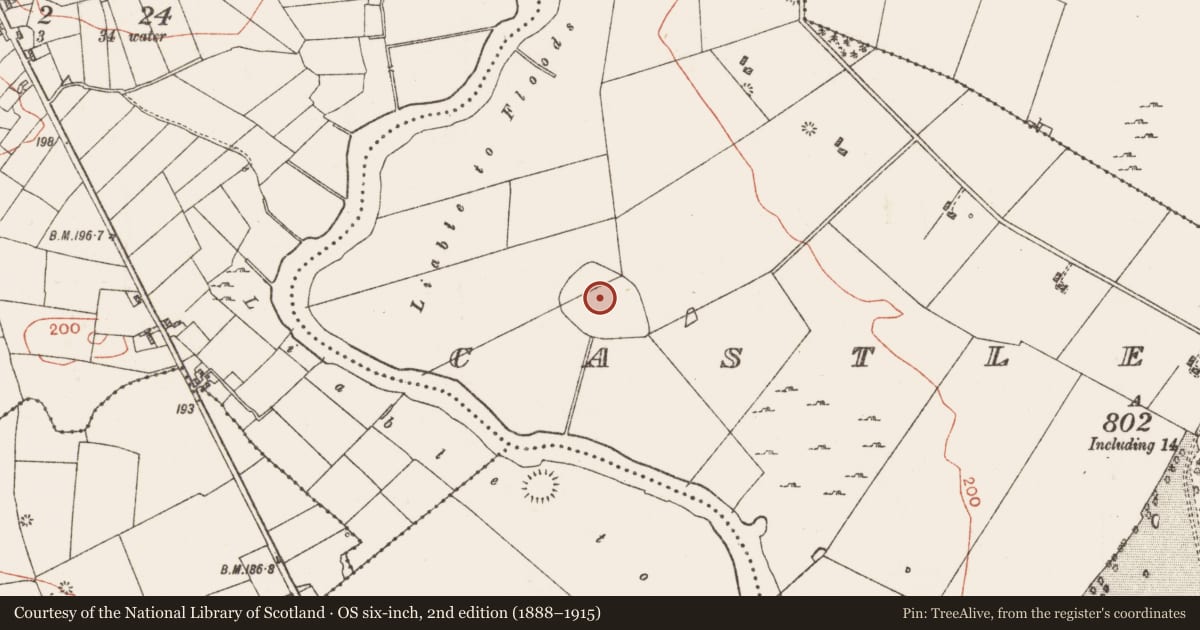 Ordnance Survey six-inch map, 2nd edition (1888–1915) covering the location of Enclosure - large enclosure, Castlestrange, County Roscommon, with a pin at the register's coordinates