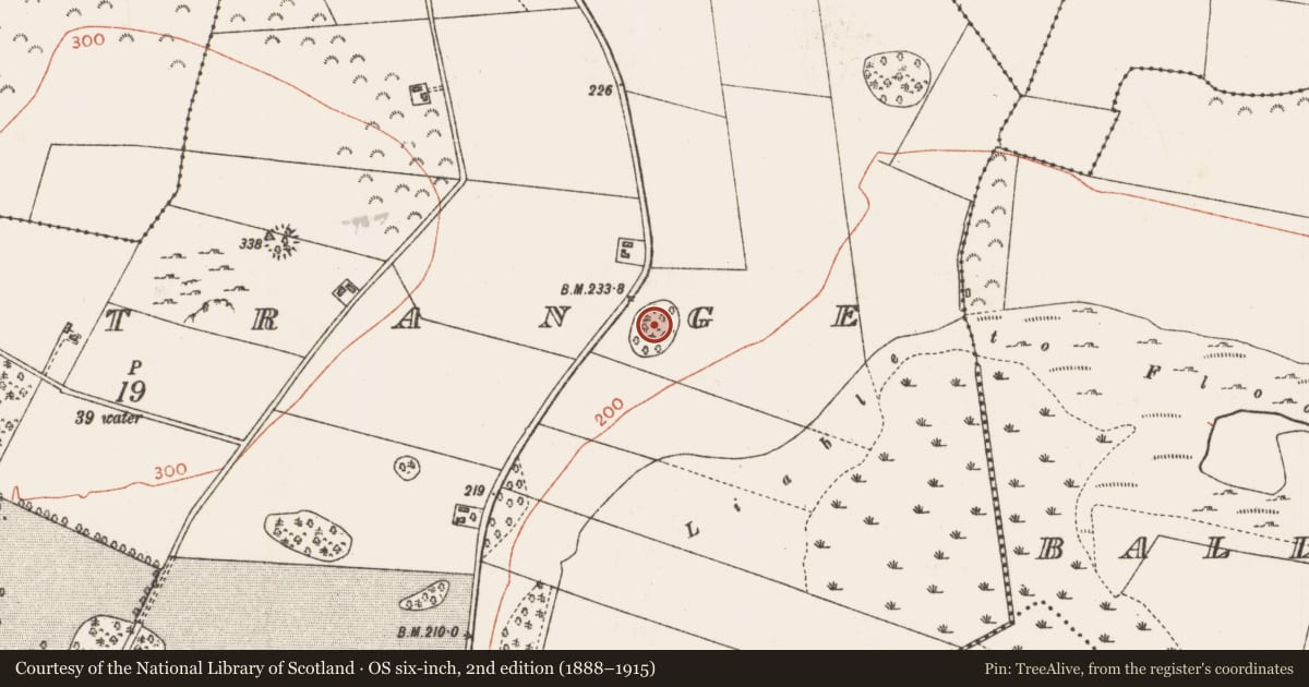 Ordnance Survey six-inch map, 2nd edition (1888–1915) covering the location of Designed landscape - tree-ring, Castlestrange, County Roscommon, with a pin at the register's coordinates