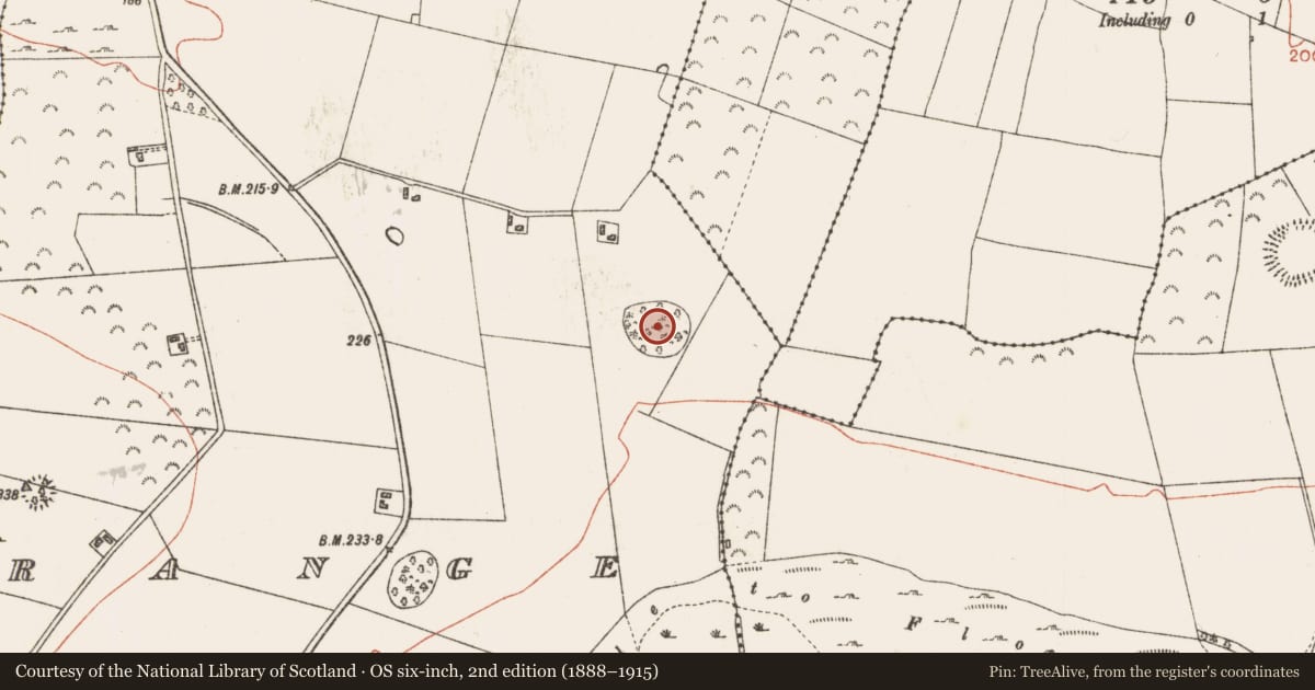 Ordnance Survey six-inch map, 2nd edition (1888–1915) covering the location of Designed landscape - tree-ring, Castlestrange, County Roscommon, with a pin at the register's coordinates