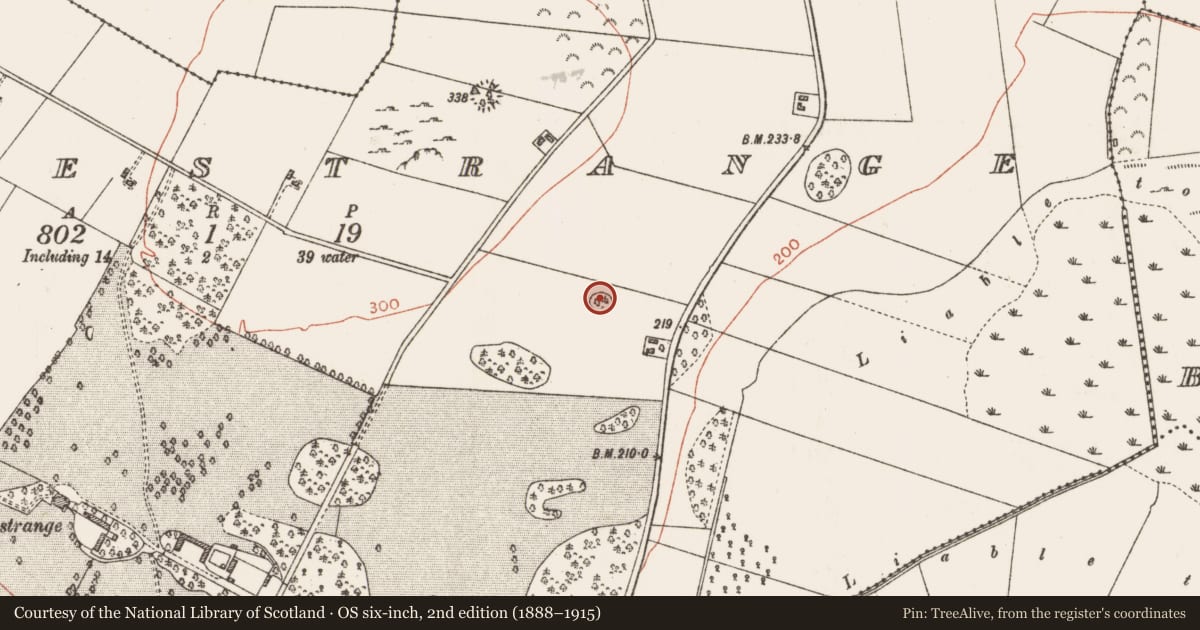 Ordnance Survey six-inch map, 2nd edition (1888–1915) covering the location of Ringfort - rath, Castlestrange, County Roscommon, with a pin at the register's coordinates