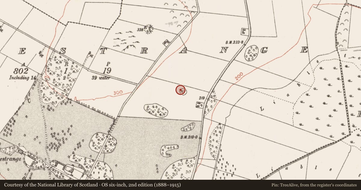 Ordnance Survey six-inch map, 2nd edition (1888–1915) covering the location of Souterrain, Castlestrange, County Roscommon, with a pin at the register's coordinates