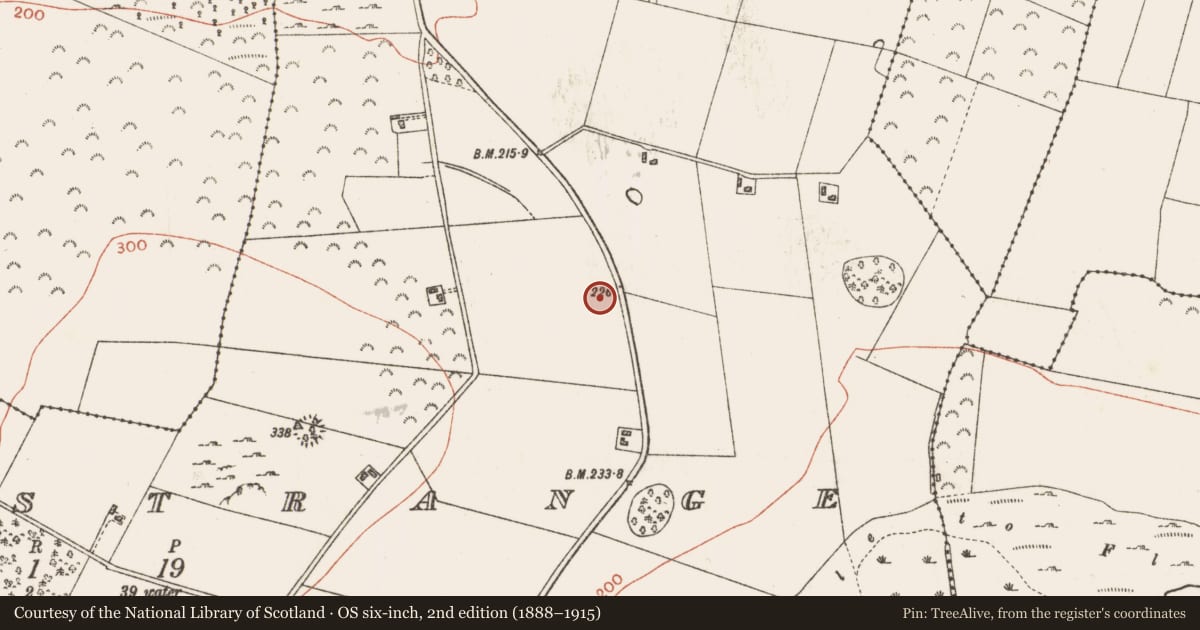 Ordnance Survey six-inch map, 2nd edition (1888–1915) covering the location of Ringfort - rath, Castlestrange, County Roscommon, with a pin at the register's coordinates