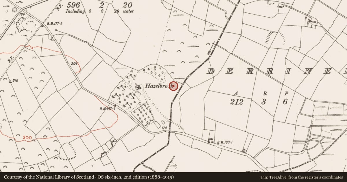 Ordnance Survey six-inch map, 2nd edition (1888–1915) covering the location of Fulacht fia, Ballygalda Or Trust, County Roscommon, with a pin at the register's coordinates