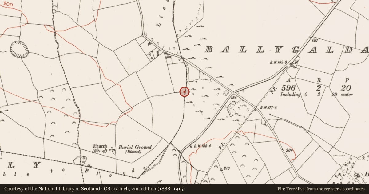 Ordnance Survey six-inch map, 2nd edition (1888–1915) covering the location of Canal, Ballygalda Or Trust, Correal, County Roscommon, with a pin at the register's coordinates