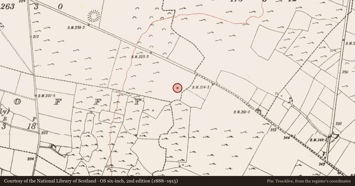 Ordnance Survey six-inch map, 2nd edition (1888–1915) covering the location of Ringfort - rath, Lisnagirra, County Roscommon, with a pin at the register's coordinates