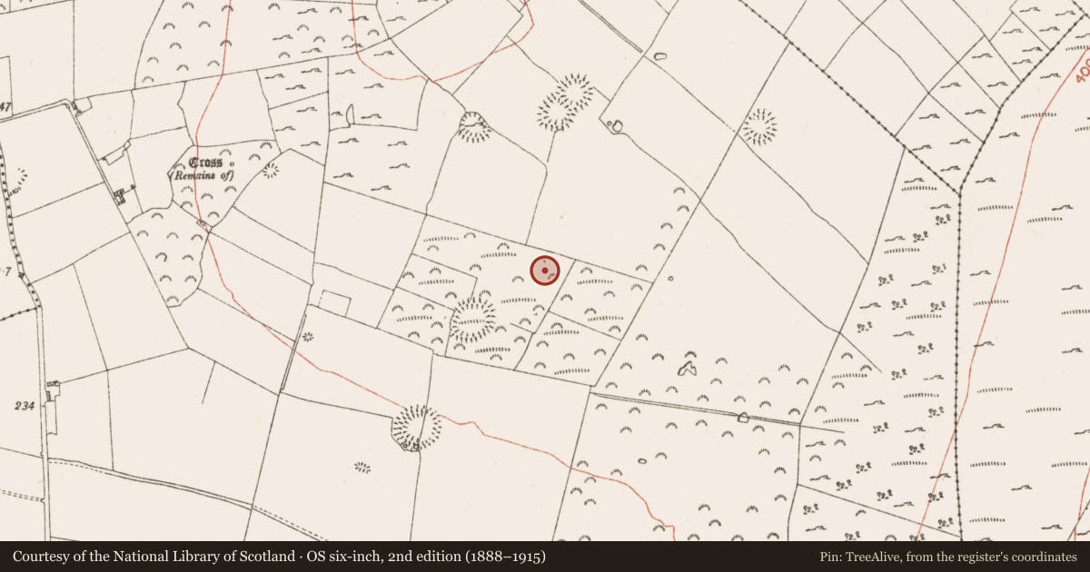 Ordnance Survey six-inch map, 2nd edition (1888–1915) covering the location of Enclosure, Knockadangan, County Roscommon, with a pin at the register's coordinates