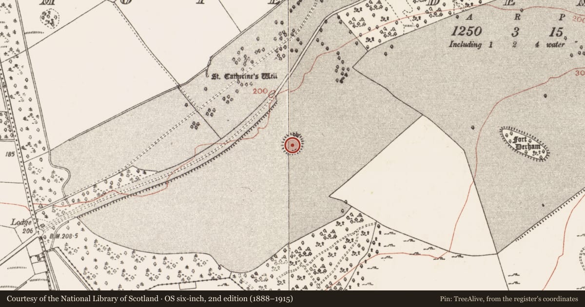 Ordnance Survey six-inch map, 2nd edition (1888–1915) covering the location of Designed landscape - tree-ring, Mote Demesne, County Roscommon, with a pin at the register's coordinates