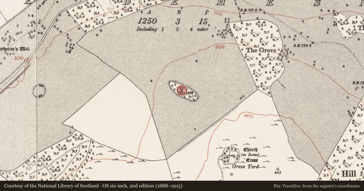 Ordnance Survey six-inch map, 2nd edition (1888–1915) covering the location of Designed landscape feature, Mote Demesne, County Roscommon, with a pin at the register's coordinates