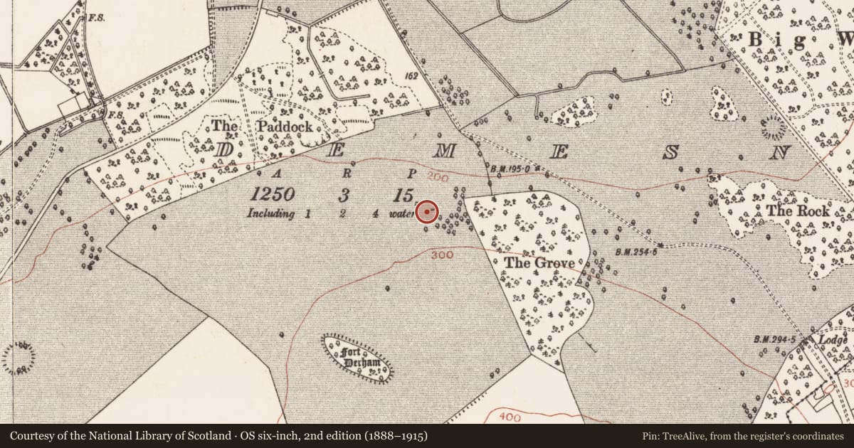 Ordnance Survey six-inch map, 2nd edition (1888–1915) covering the location of Monumental structure, Mote Demesne, County Roscommon, with a pin at the register's coordinates