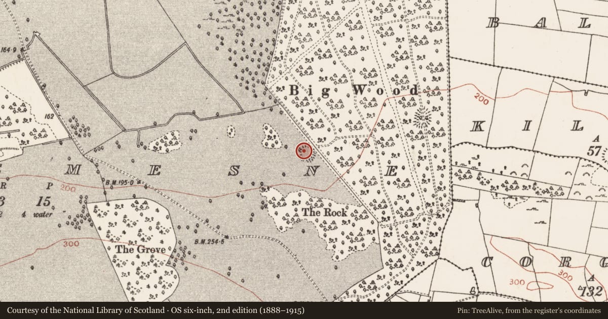 Ordnance Survey six-inch map, 2nd edition (1888–1915) covering the location of Ringfort - rath, Mote Demesne, County Roscommon, with a pin at the register's coordinates
