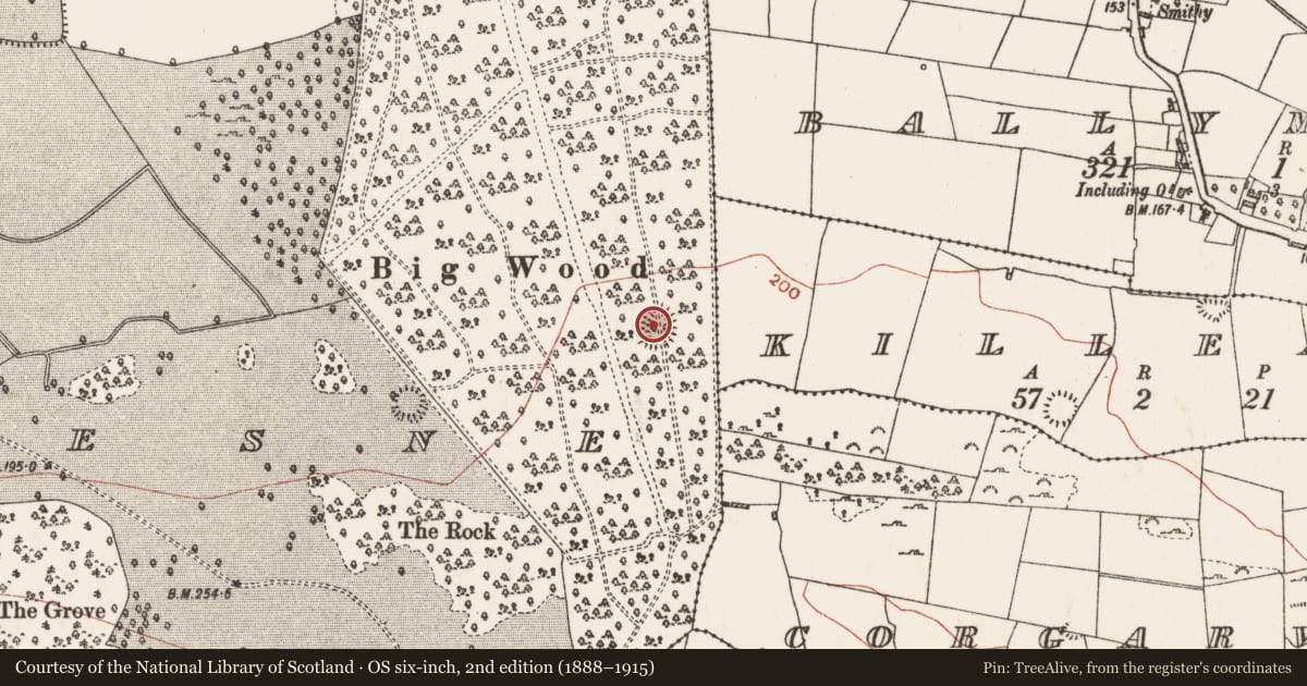 Ordnance Survey six-inch map, 2nd edition (1888–1915) covering the location of Ringfort - rath, Mote Demesne, County Roscommon, with a pin at the register's coordinates