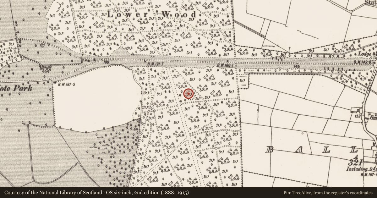 Ordnance Survey six-inch map, 2nd edition (1888–1915) covering the location of Ringfort - rath, Mote Demesne, County Roscommon, with a pin at the register's coordinates